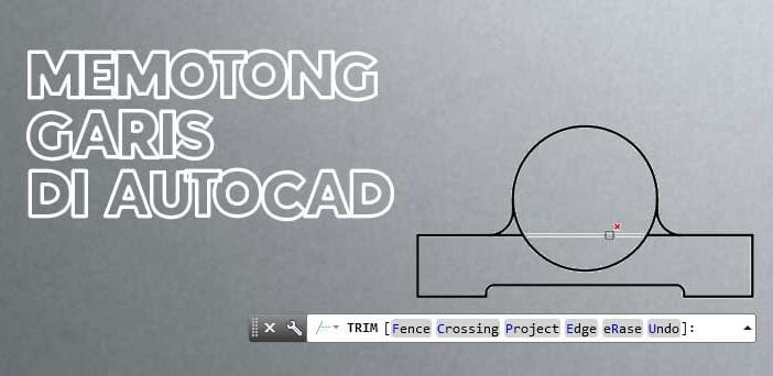 Fungsi-Perintah-TRIM